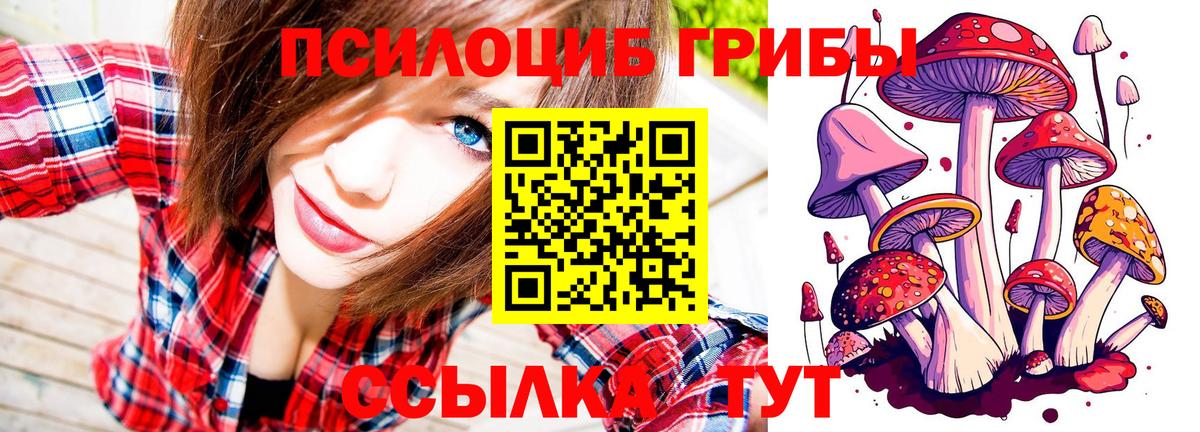 Галлюциногенные грибы Magic Shrooms Нижний Новгород