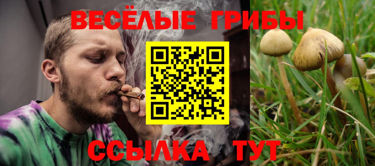 Галлюциногенные грибы ЛСД  Псилоцибиновые грибы Psilocybe  Нижний Новгород  Вход с VPN 